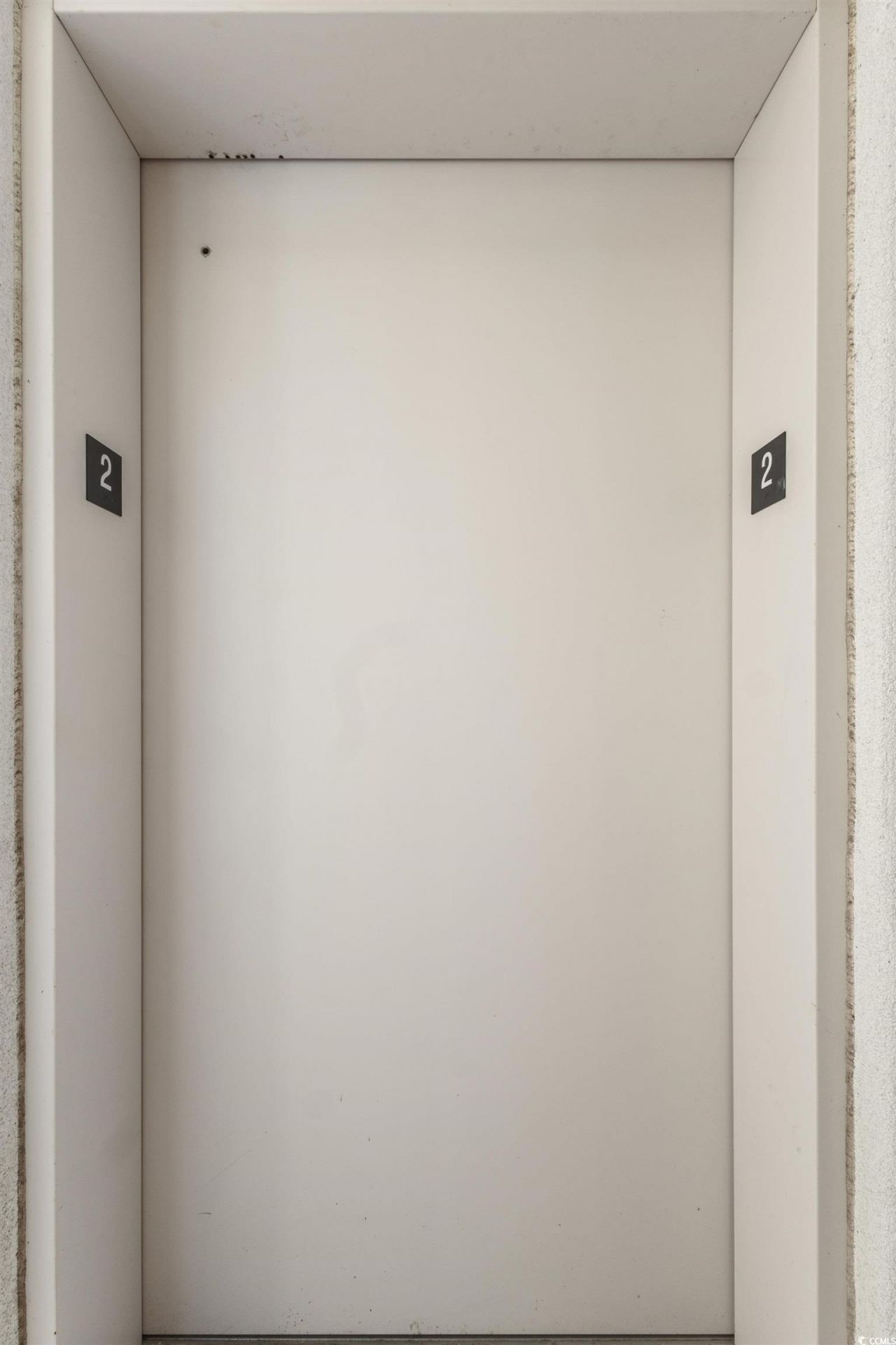 181 Ella Kinley Circle Photo 29