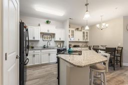 181 Ella Kinley Circle photo 4