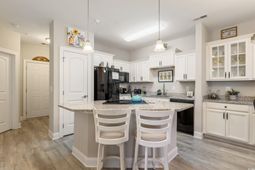 181 Ella Kinley Circle photo 4