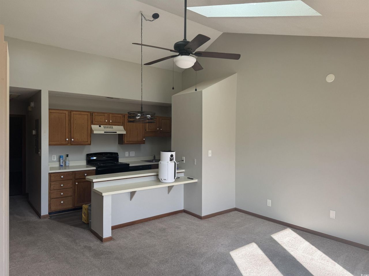 213 Double Eagle Dr. Photo 4