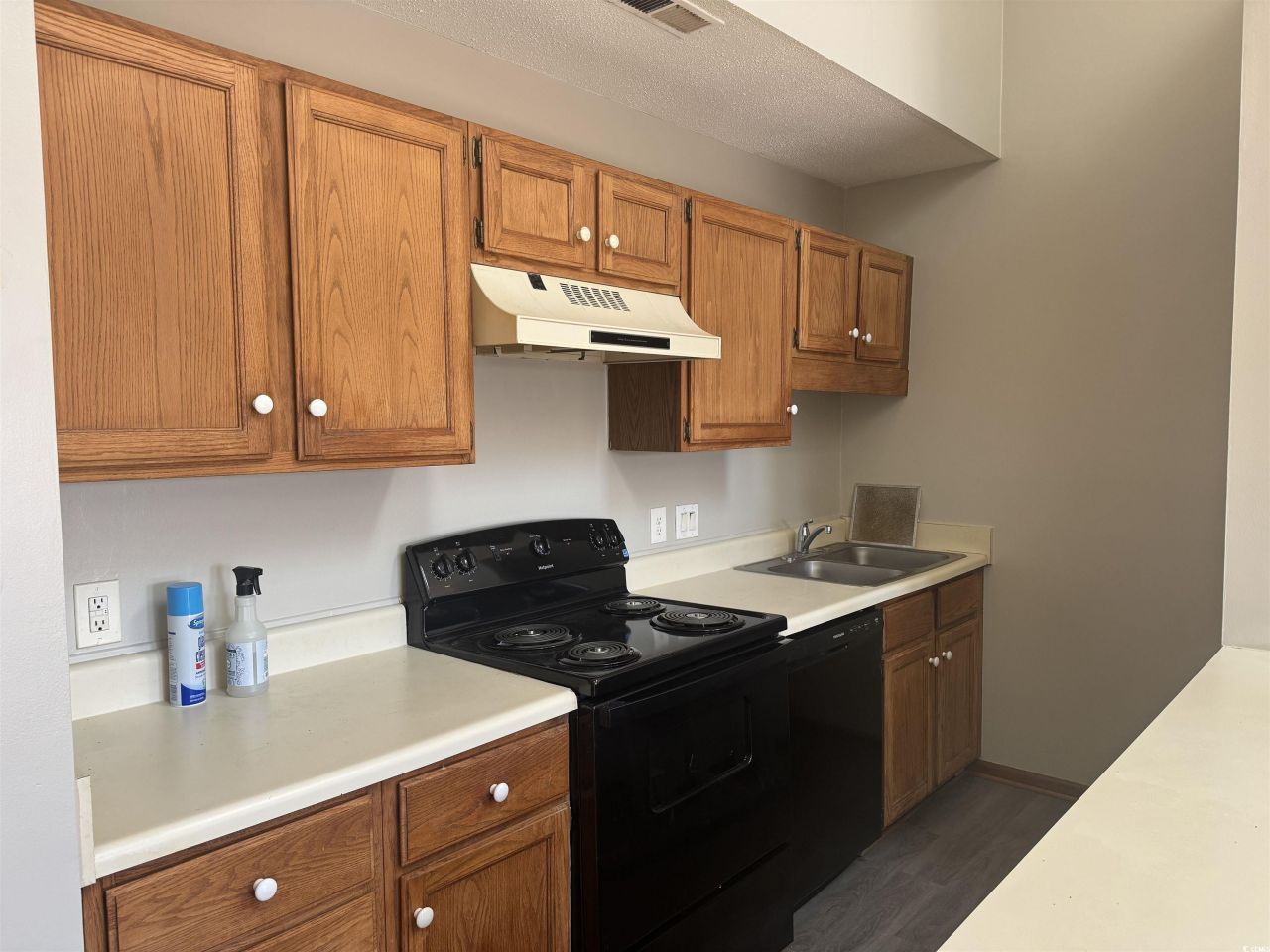 213 Double Eagle Dr. Photo 6