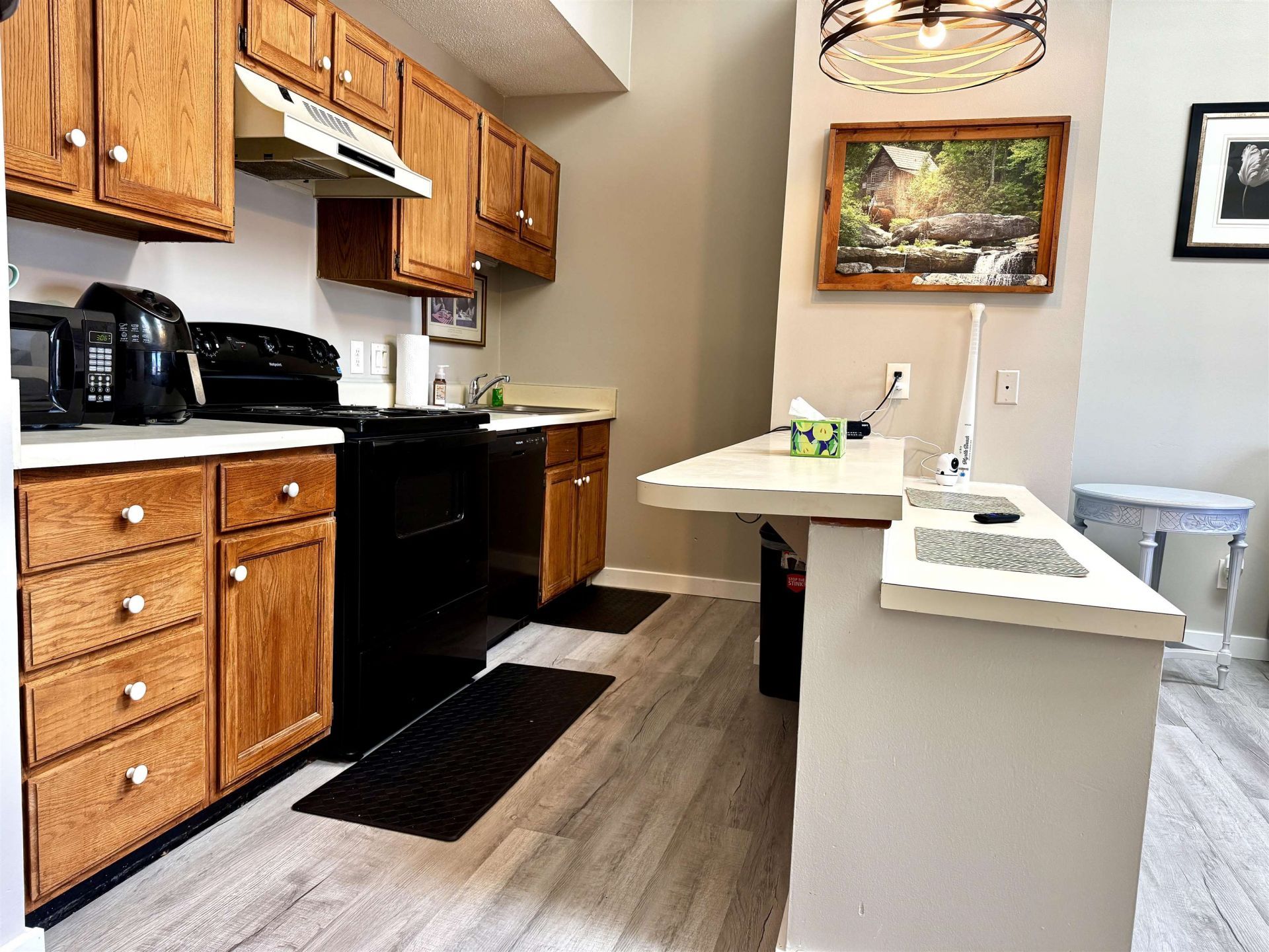 213 Double Eagle Dr. Photo 8