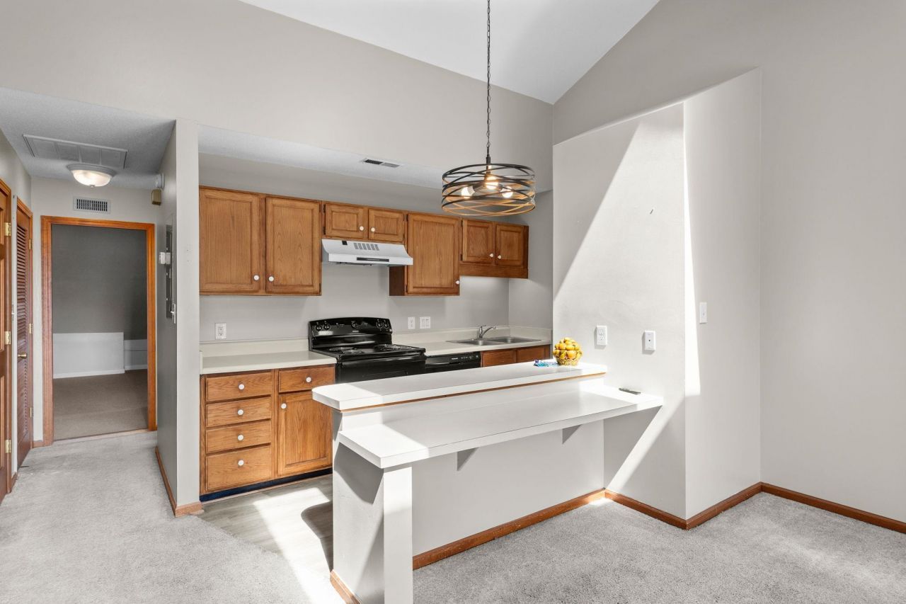 213 Double Eagle Dr. Photo 8