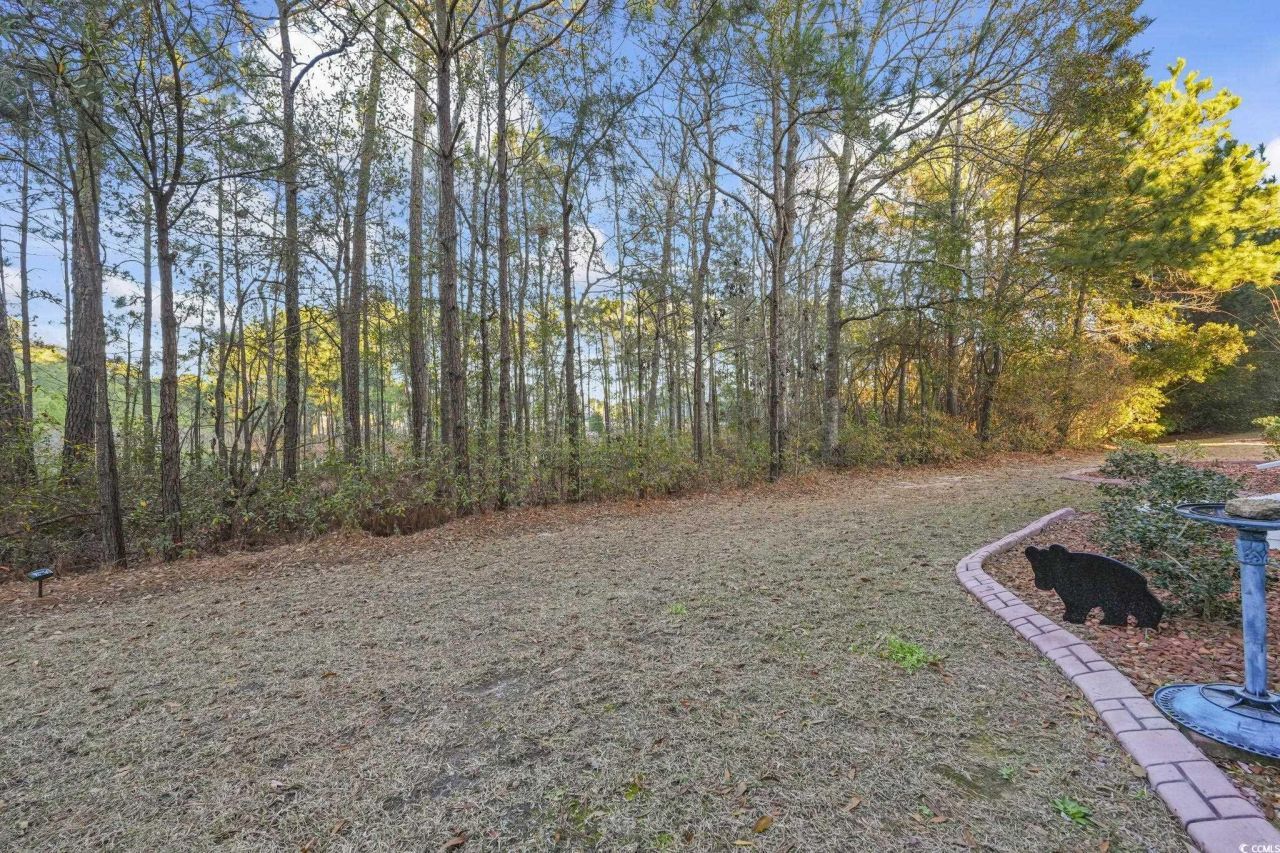 124 Birch N Coppice Dr. Photo 31