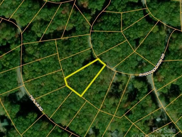 111 Rhododendron Drive , Beech Mountain, NC 28604