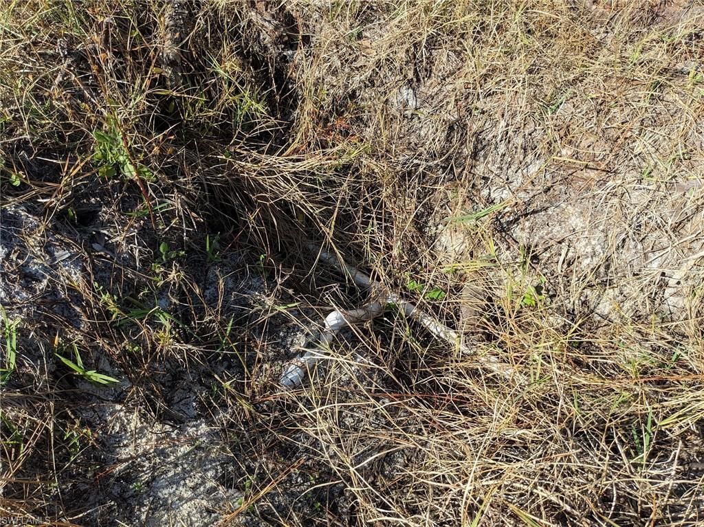 4159 Sunshine Blvd, Saint James City, FL 33956 Photo