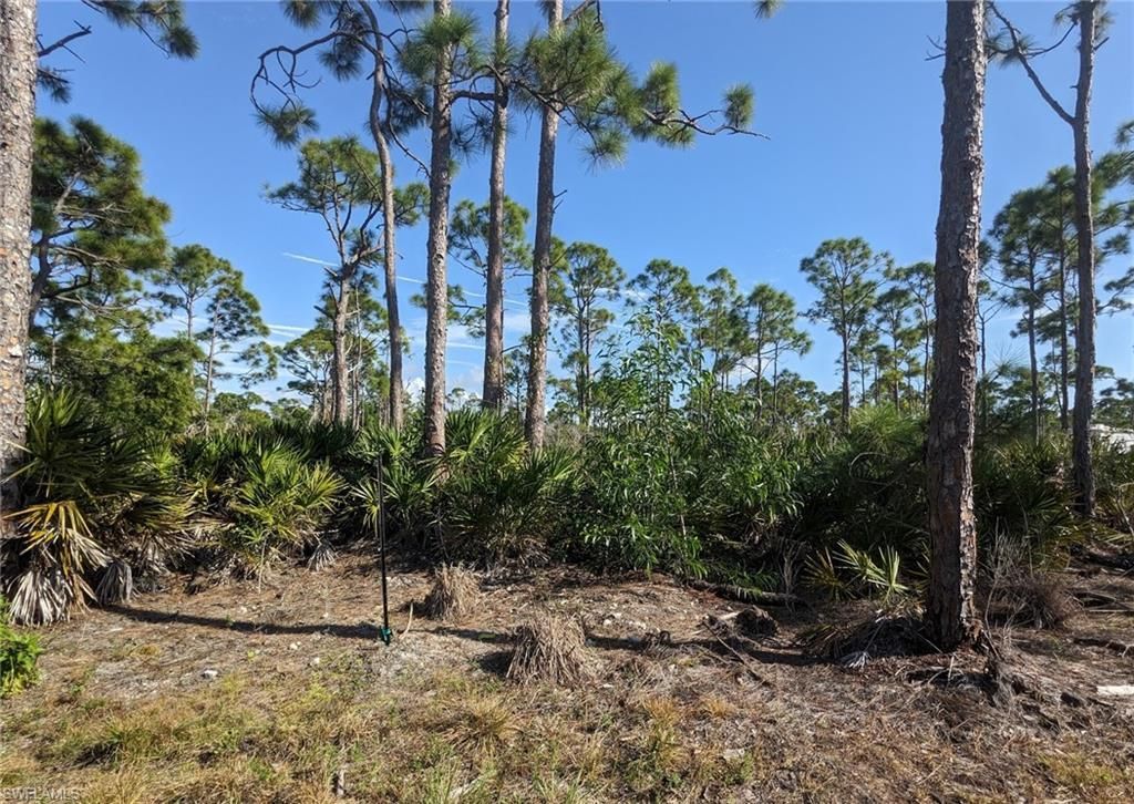 4159 Sunshine Blvd, Saint James City, FL 33956 Photo