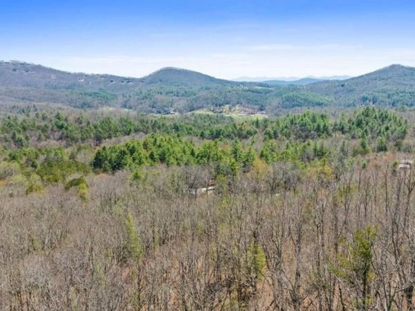 40A Synacia Road, Mineral Bluff, GA 30559
