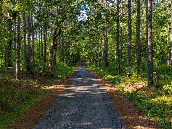 0 Padgett Road, Unit LOT 8, Senoia, GA 30276