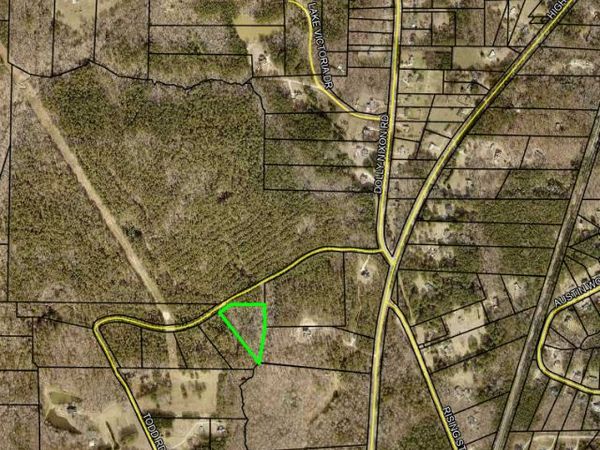 LOT 1 Todd Five, Senoia, GA 30276