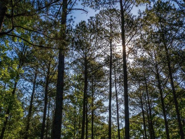 0 Morgan Mill Road, Unit LOT 5, Senoia, GA 30276