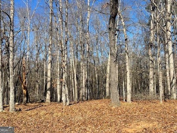 0 Chappell Road, Unit LOT 2, Fayetteville, GA 30215