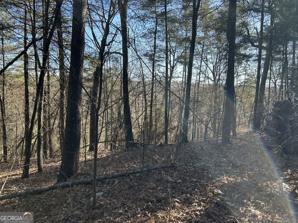 0 Twin River Orchard Road, Unit TRACT 4, Demorest, GA 30535