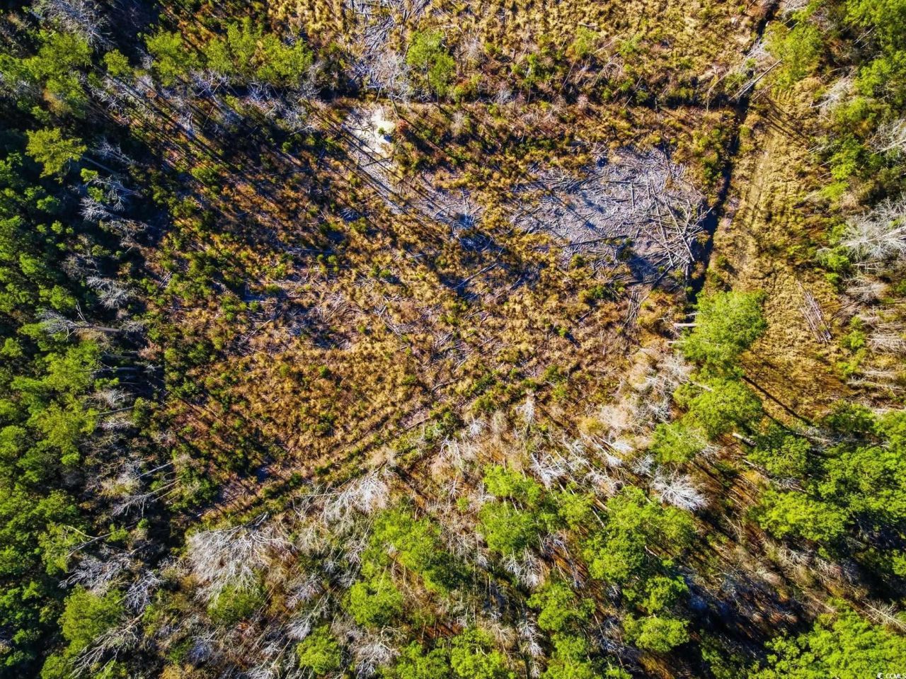 Tbd Freemont Rd. Photo 10