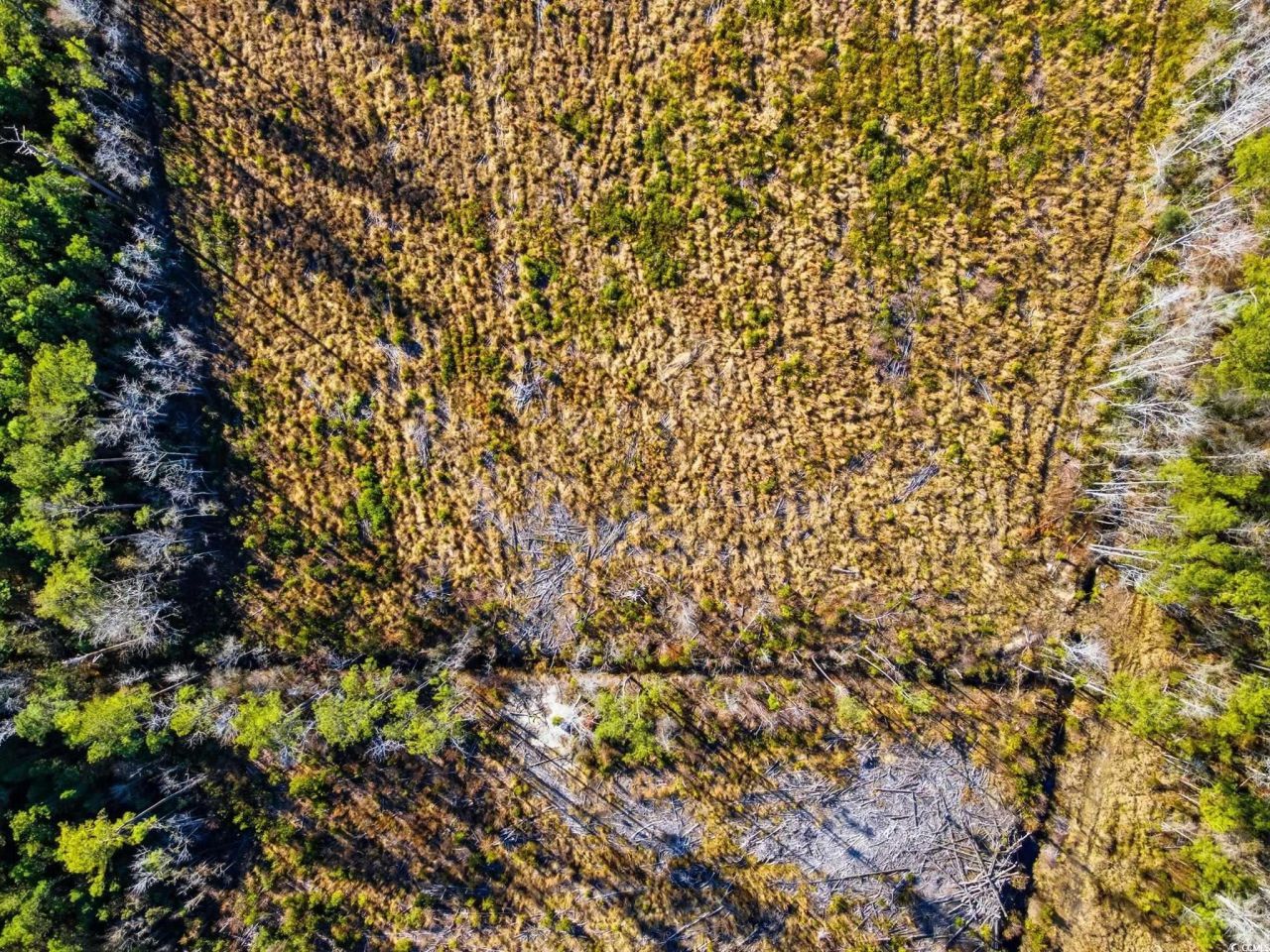 Tbd Freemont Rd. Photo 11