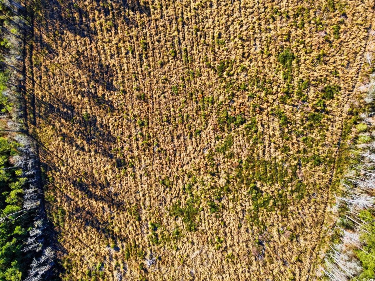 Tbd Freemont Rd. Photo 12