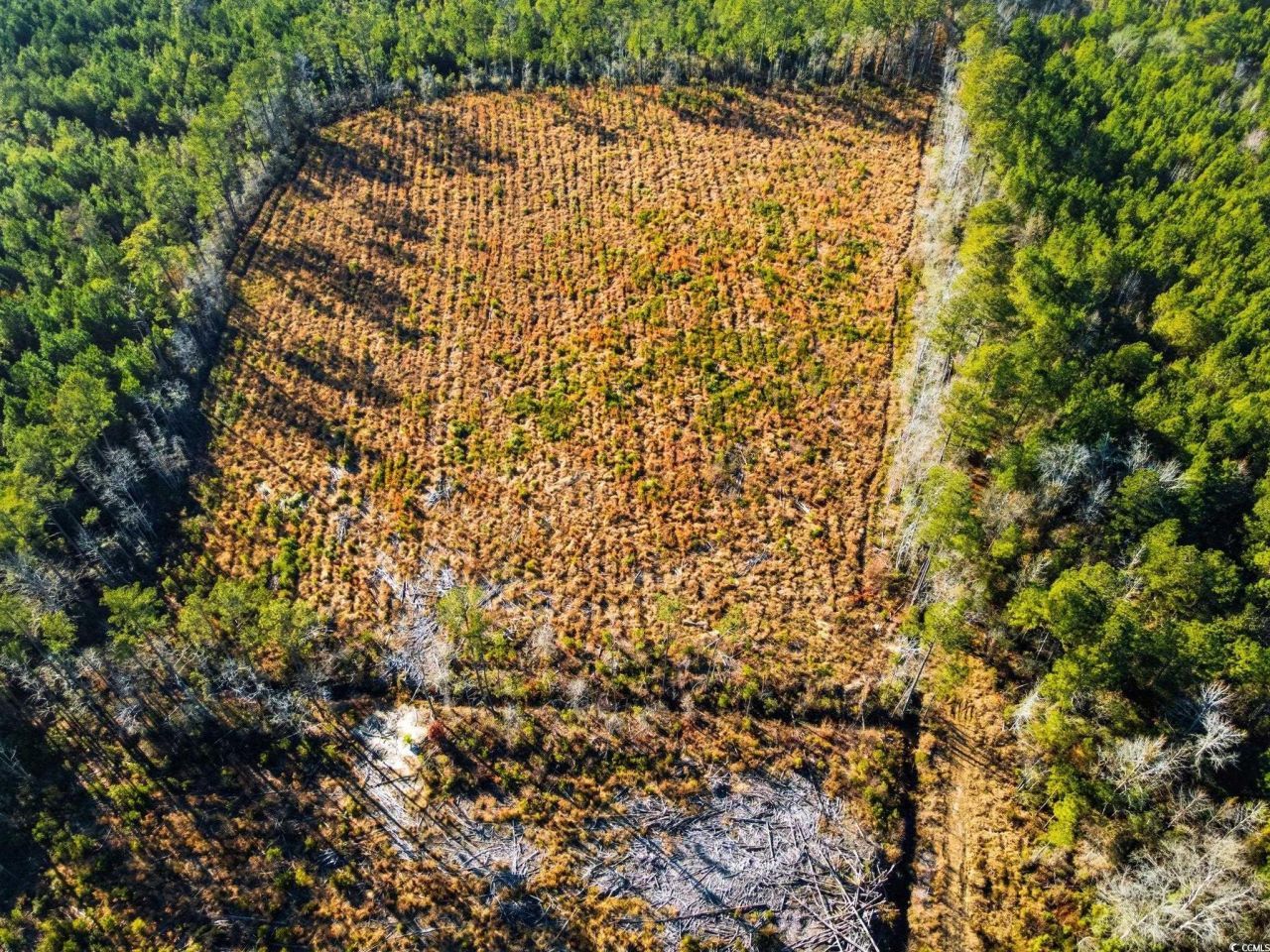 Tbd Freemont Rd. Photo 13