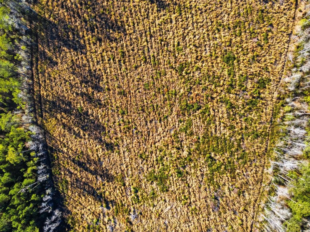 Tbd Freemont Rd. Photo 14