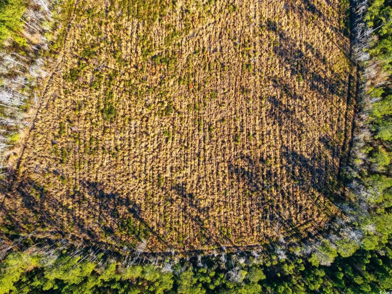 Tbd Freemont Rd. Photo 15