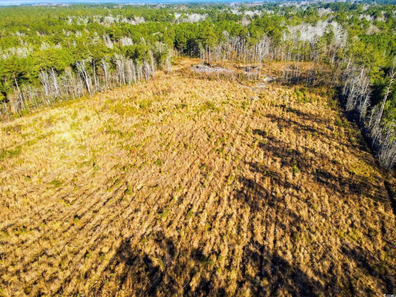 Tbd Freemont Rd. Photo 16