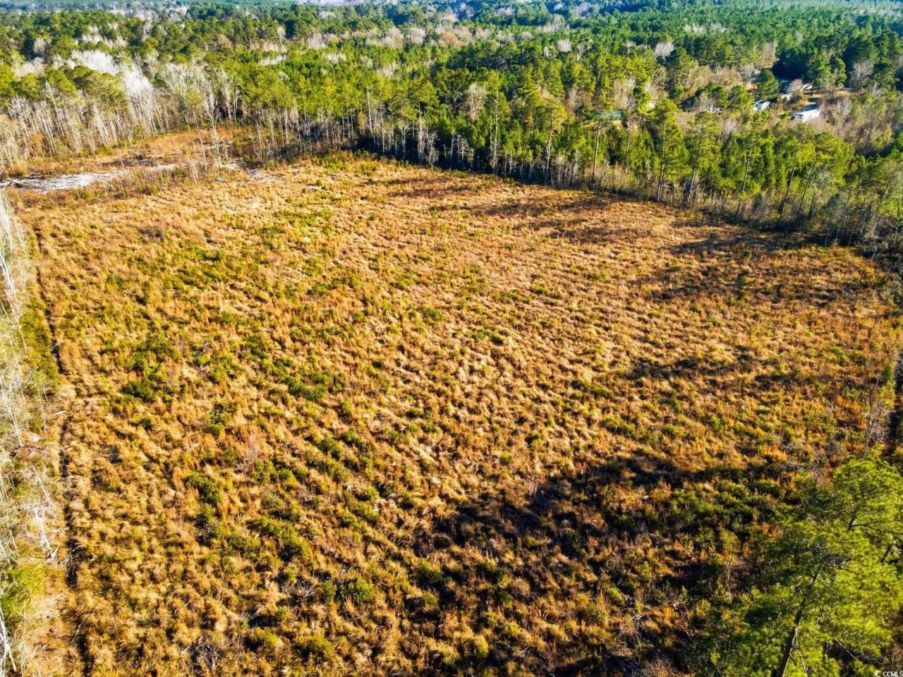 Tbd Freemont Rd. Photo 17