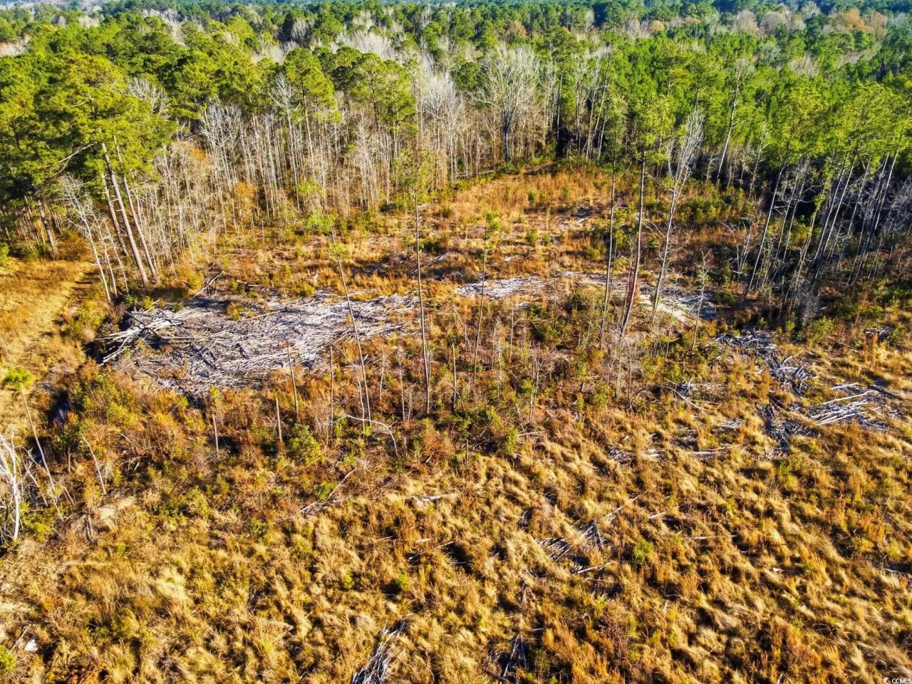 Tbd Freemont Rd. Photo 18