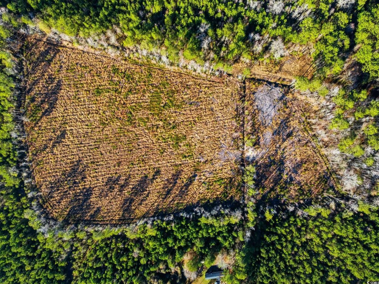 Tbd Freemont Rd. Photo 23