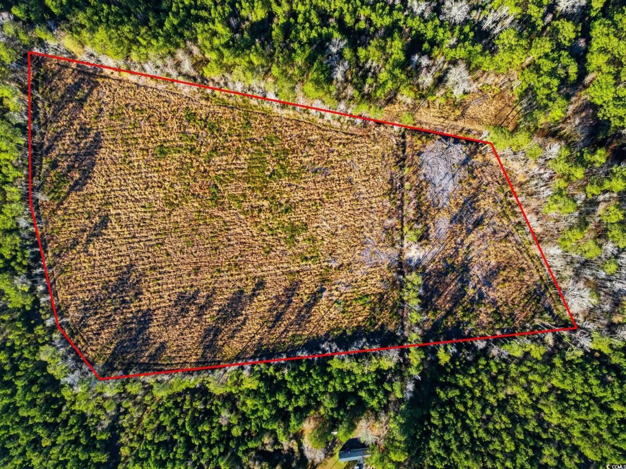 Tbd Freemont Rd. Photo 24