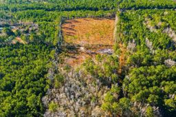 Tbd Freemont Rd. photo 4