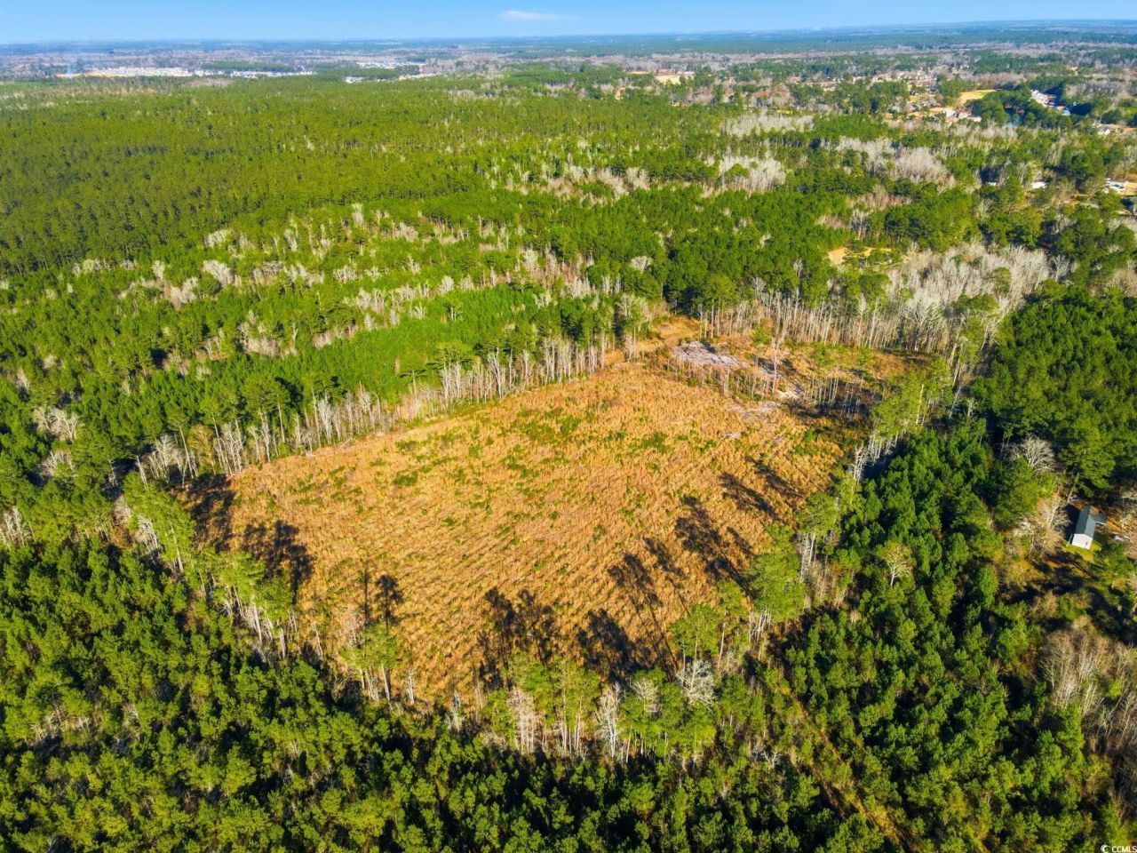 Tbd Freemont Rd. Photo 4