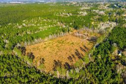 Tbd Freemont Rd. photo 4