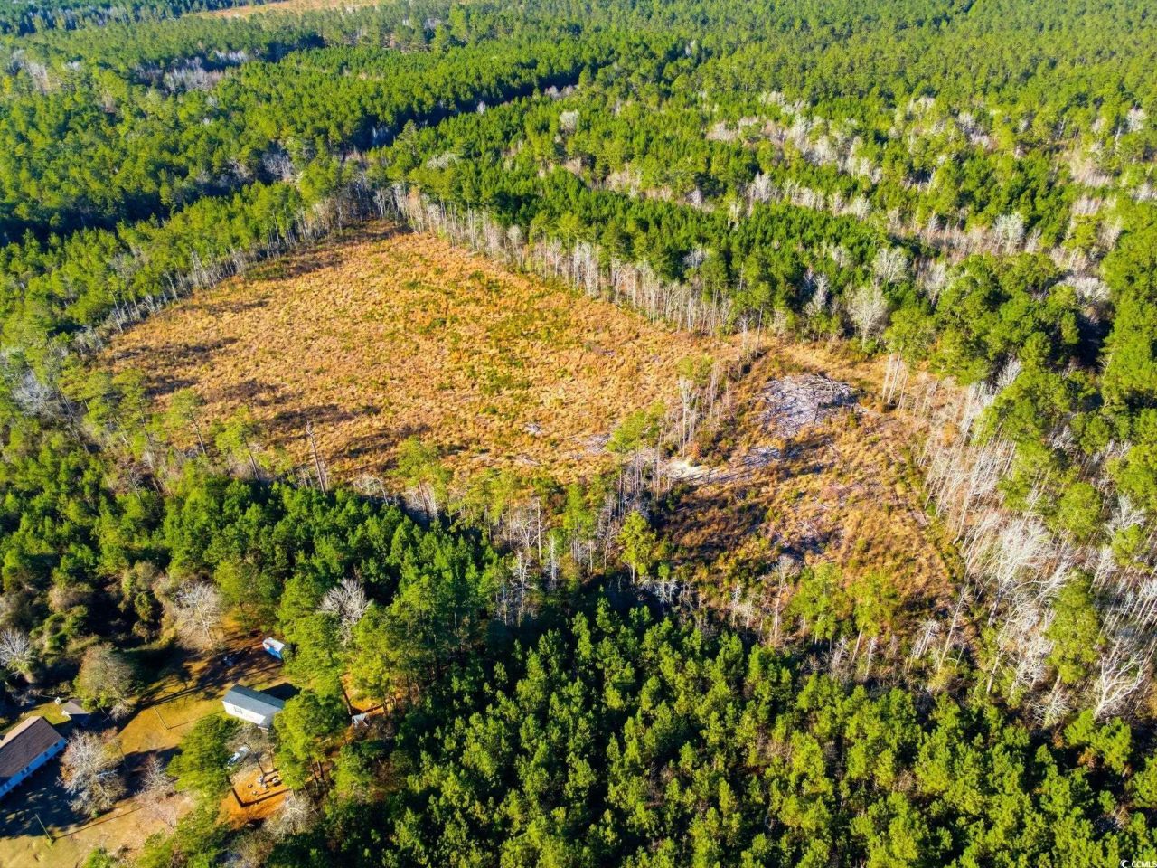 Tbd Freemont Rd. Photo 5