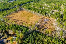 Tbd Freemont Rd. photo 4