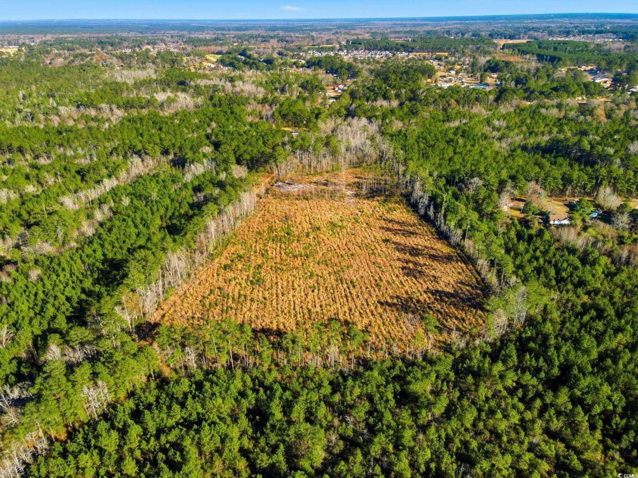 Tbd Freemont Rd. Photo 6