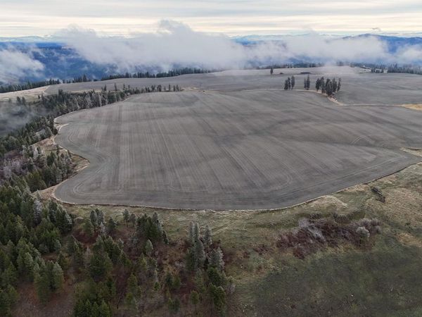 2439 Albers Rd, Nezperce, ID 83543