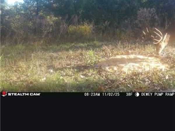 17440 115th Road, Erie, KS 66733