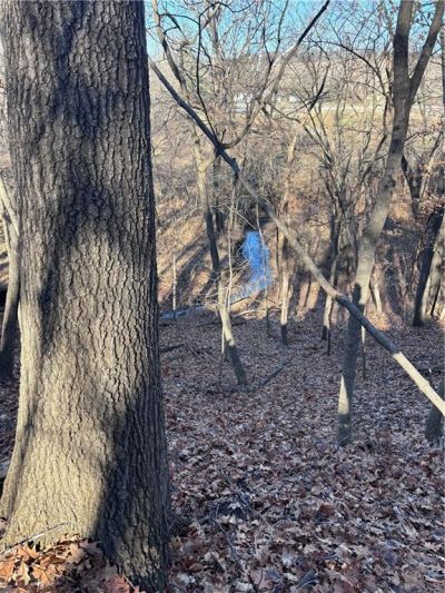 U Highway, Camden Point, MO 64079 Main Photo