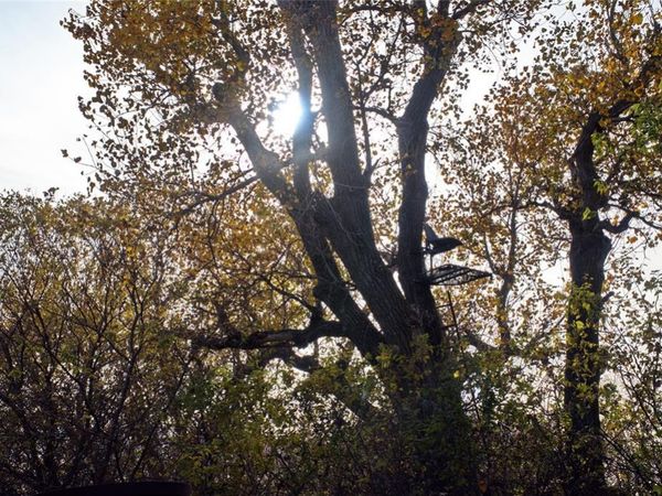 120 NW Ash Road, Okarche, OK 73762