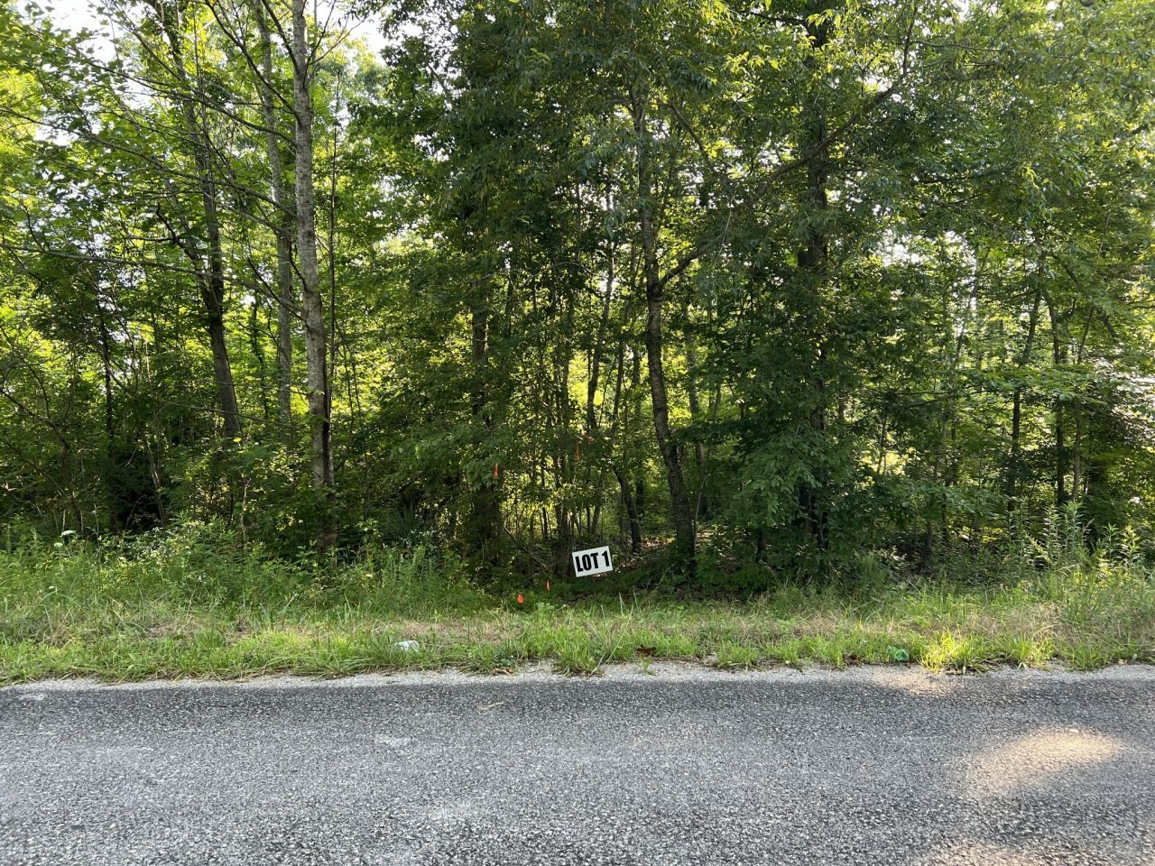 1 Slaughter Rd, Primm Springs, TN 38476 Main Photo