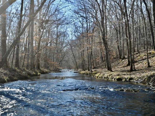 0 Allens Creek Road, Hohenwald, TN 38462