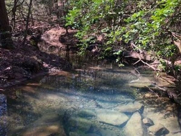 0 Sullivan Mill Lane, Graysville, TN 37338