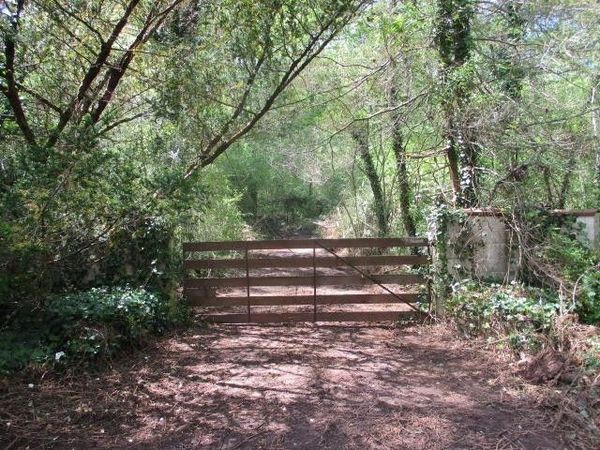 0 Honeycomb Rd, Grant, AL 35747