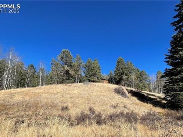 3090 N Mountain Estates Road, Florissant, CO 80816