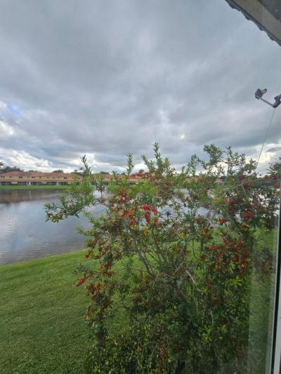 3490 Briar Bay Boulevard, Unit 206, West Palm Beach, FL 33411 Photo