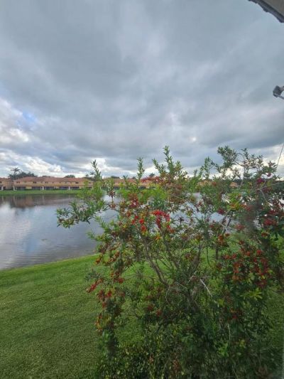 3490 Briar Bay Boulevard, Unit 206, West Palm Beach, FL 33411 Photo