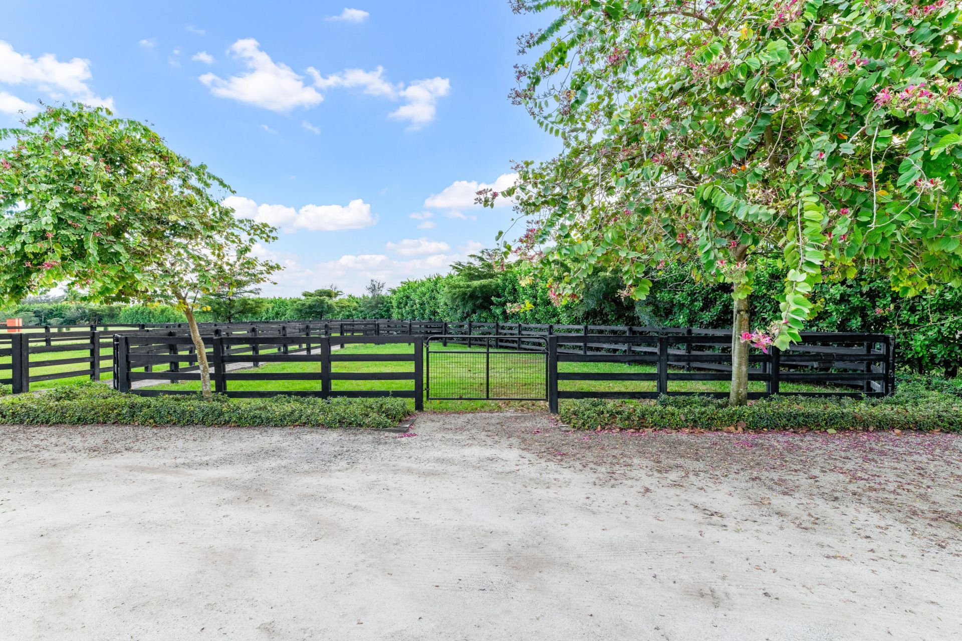 14739 Jumper Road, Wellington, FL 33449 Photo