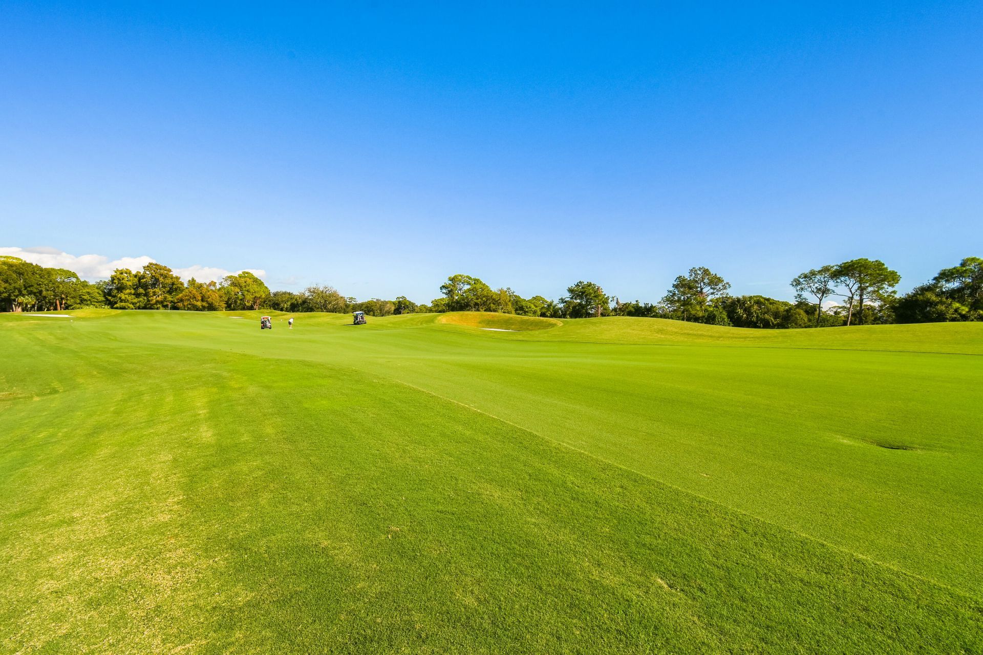 1737 NW Buttonbush Circle, Palm City, FL 34990 Photo