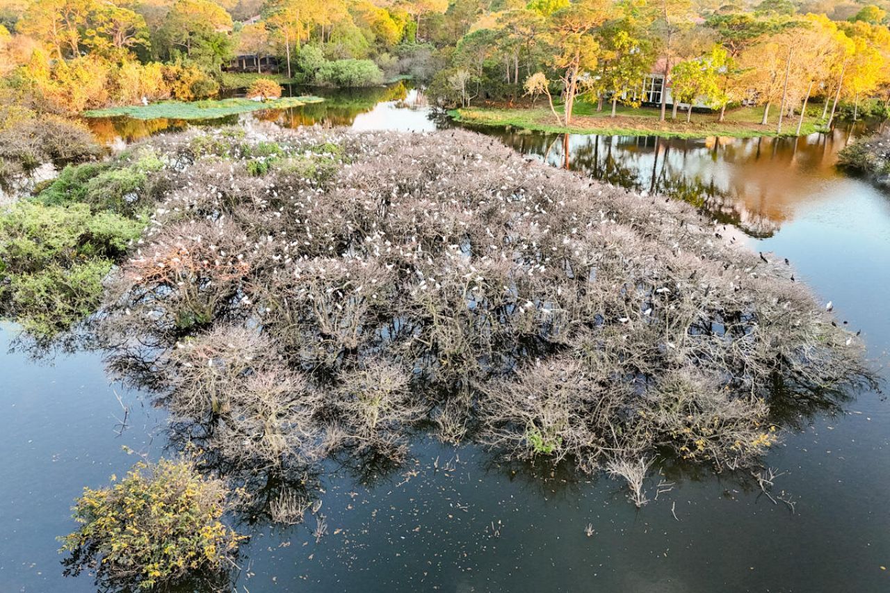 1737 NW Buttonbush Circle, Palm City, FL 34990 Photo