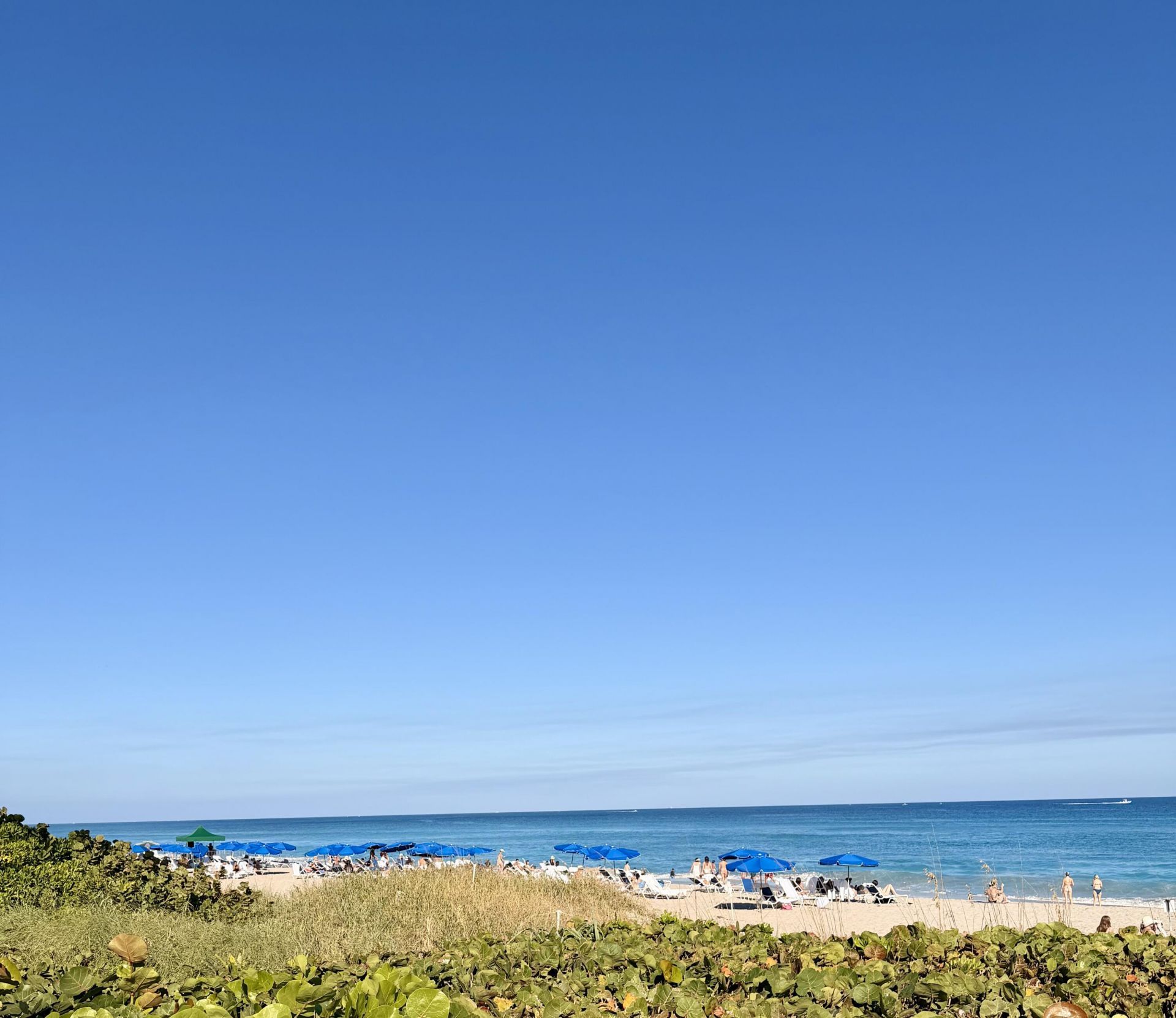 2850 S Ocean Boulevard, Unit 114, Palm Beach, FL 33480 Photo