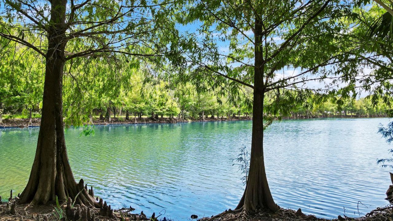 1991 SE Oldsmar Road, Port Saint Lucie, FL 34952 Photo